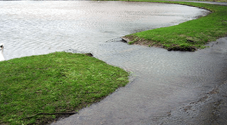 Stormwater Service Page Picture #2